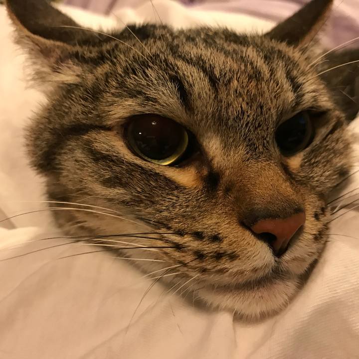 A7620ab9 2805 4249 9aa2 04b9bd7398bb 1556195106655