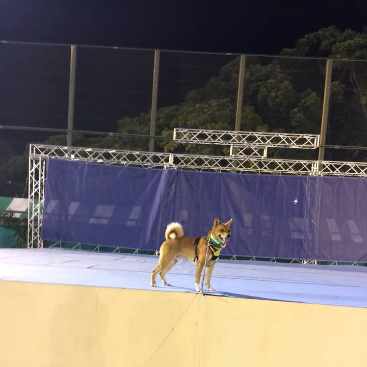 A7622c25 465a 4f55 a795 2bde39c9d92b 1507992970323