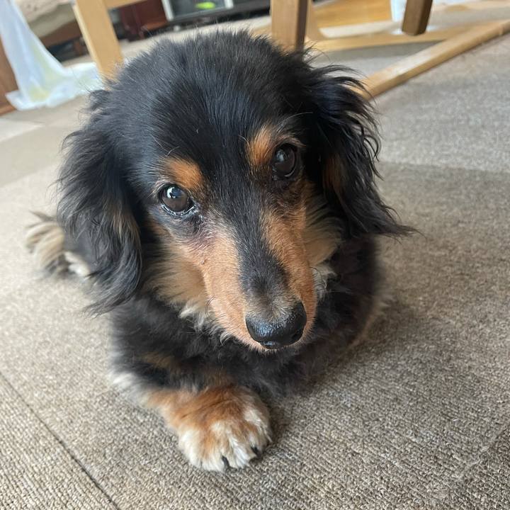 A7622d23 45f7 4ae8 83eb 99773d90482e 1624485018440