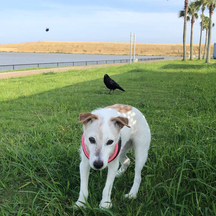 A7624bb8 a3e0 4615 8e4d f6ef2a667268 1653728752547