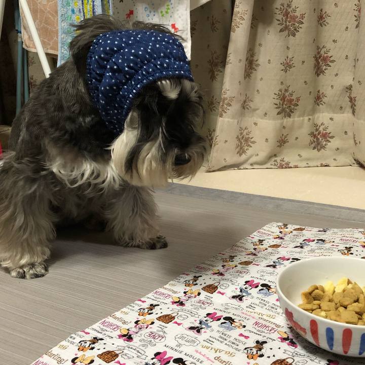 A76277b9 23de 4424 9ab6 27ec0000cdcb 1586097227970