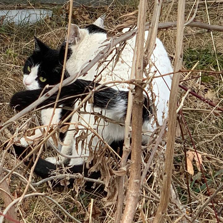 A76288ec 76ac 4b27 942f d989ce82bc81 1581655503556