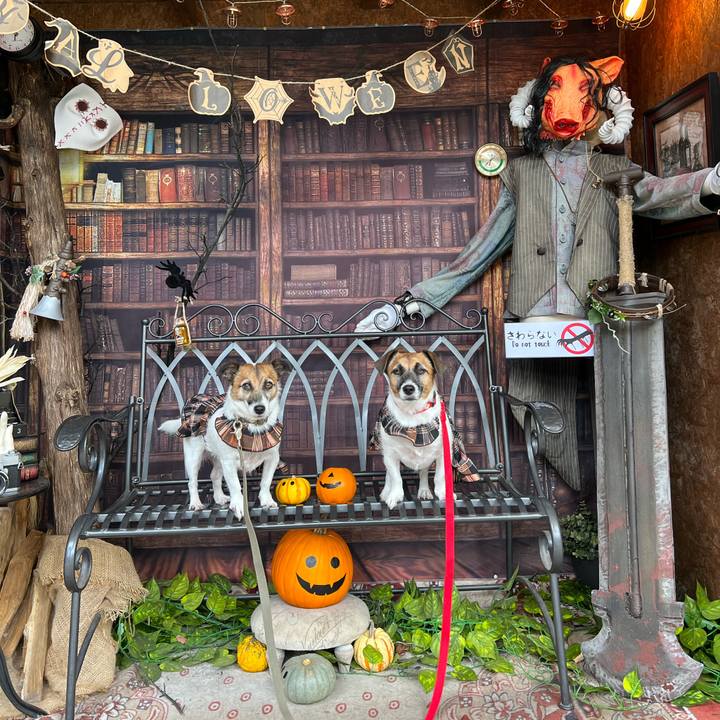 A762ccae c252 4a85 8491 3ab0f814e2e1 1667200435908