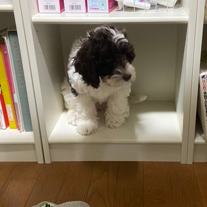 A762d40f 90e2 44e1 8533 fc815d31a0ef 1608715466228