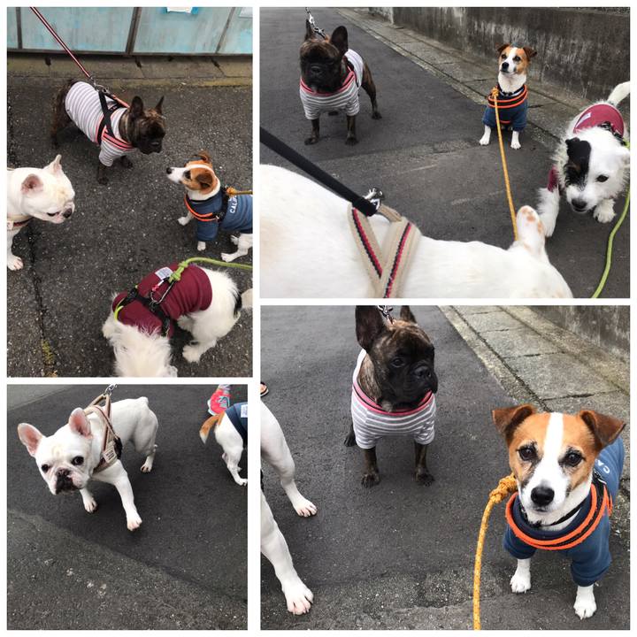 A762d621 bfbf 419f 9b43 5c0911b2f8b0 1539912666062