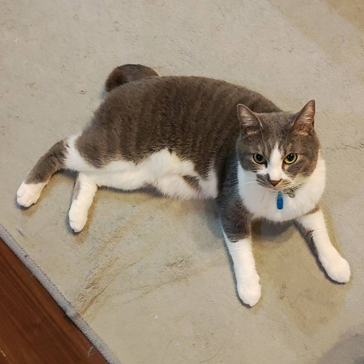 A762eb34 bc6c 46de 867b 8885662c6b4b 1681395608037