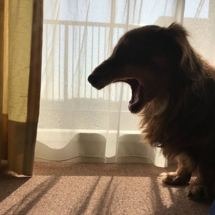 A762f30b 3e9c 46bb 8768 569a990154e8 1509937546381