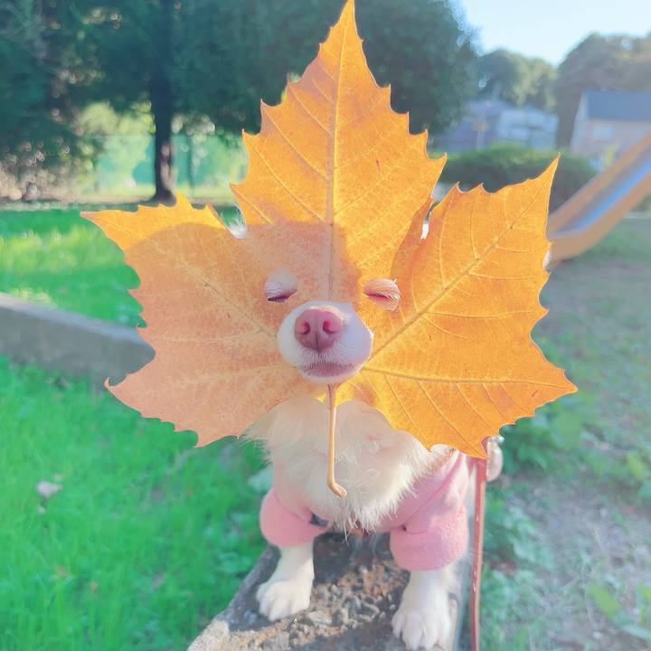 A763212d 944d 4cf1 84de f95be6abca53 1699952182518