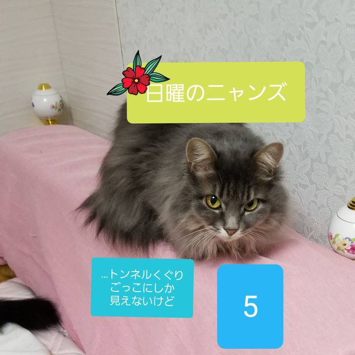 A7633577 c458 4d83 b38f 5e4643040b64 1544954130595