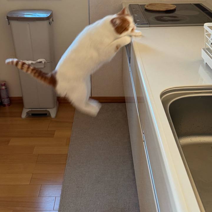 A7633f3e 19dc 4768 bcd7 e53dd350bd4b 1767840474661