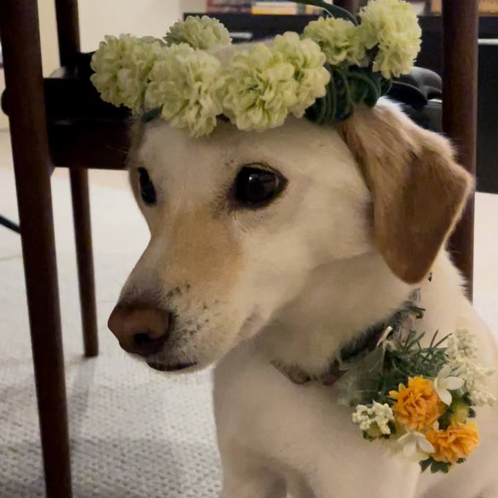 A763795e 2618 4a29 83c1 02393665553f 1647265740253