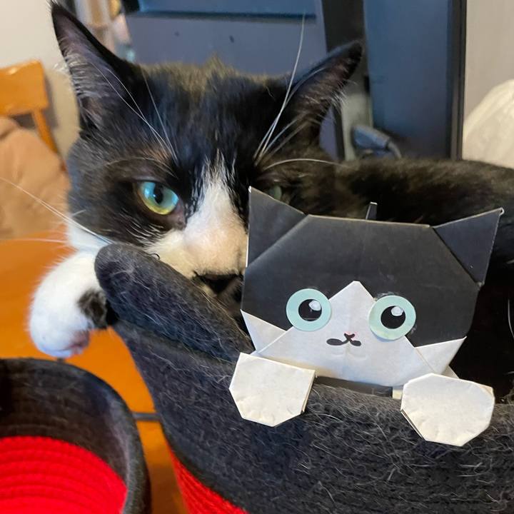 A7638b1c 3fc2 47b5 9415 67295eba6b30 1749342905338