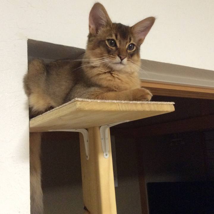 A7638bf9 d099 4365 b049 2367236b498a 1573981354212