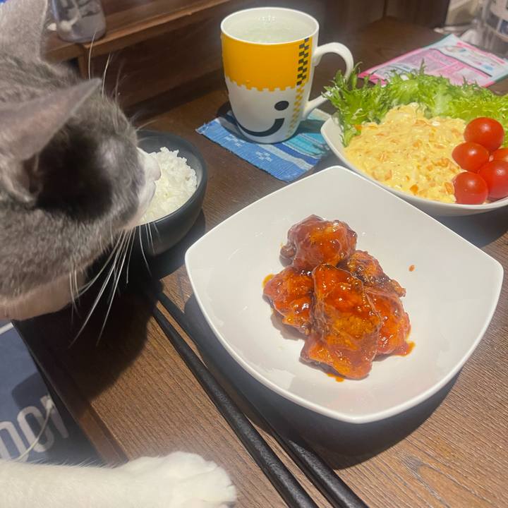 A7638de4 4554 4c8d 92f2 0c998575947f 1719143016343