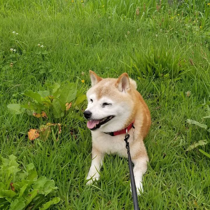 A763be89 26e3 421b bc9b ca3e9df6e927 1721790283083