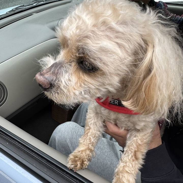 A763dd49 d30d 4182 953f dea98aed0add 1746525078553