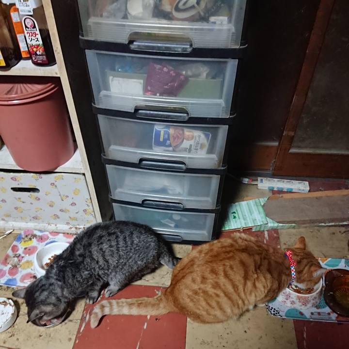 A763f261 29d4 494c b4d4 20d796bee8e8 1576486709857