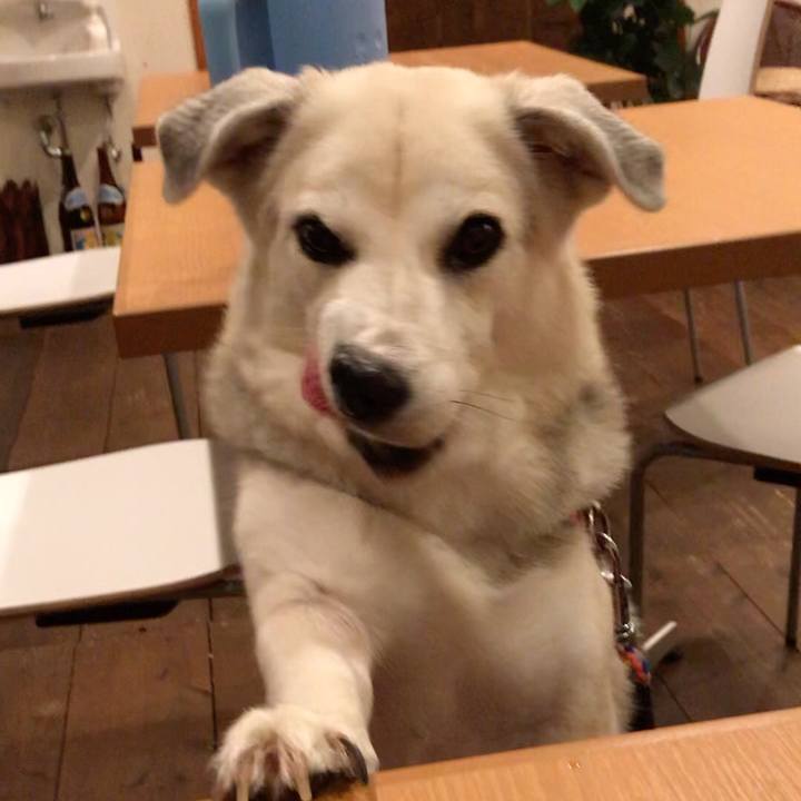 A763ff5d 13a9 46c4 a414 a5c628c9418e 1597153960487