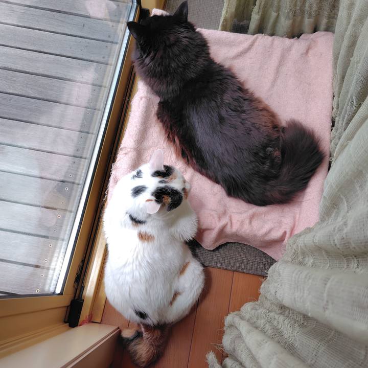 A76423a4 5d38 415e a9d6 17be18a6881b 1749005216668