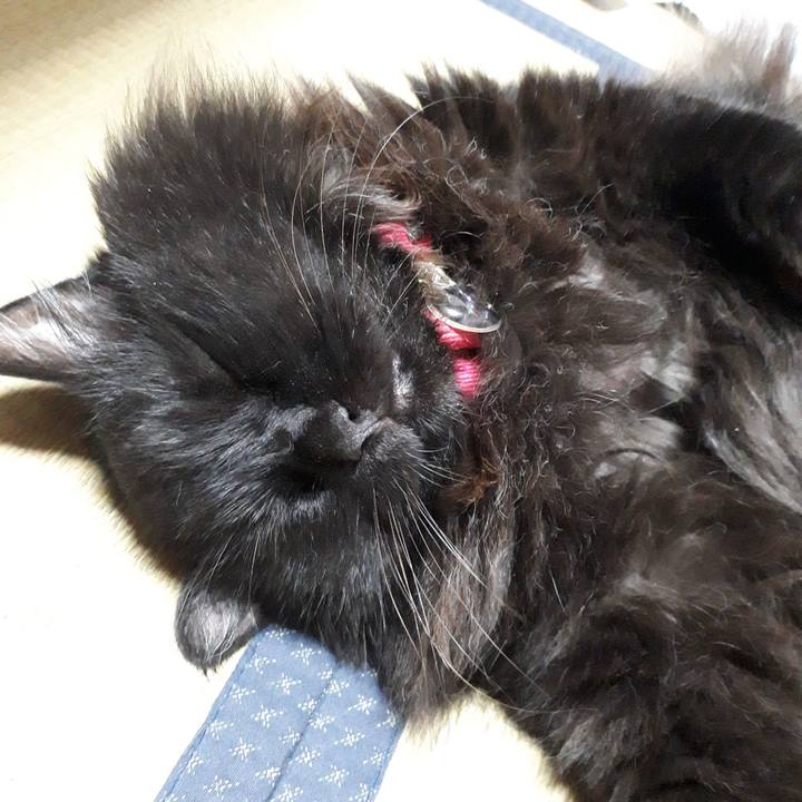 A7644444 0b91 476e 9f6b 7770defacc97 1542344871359