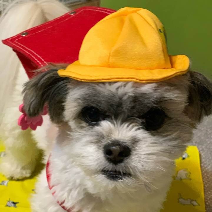 A7646a3a db8c 4bae 9085 796af6df97dd 1586254071695