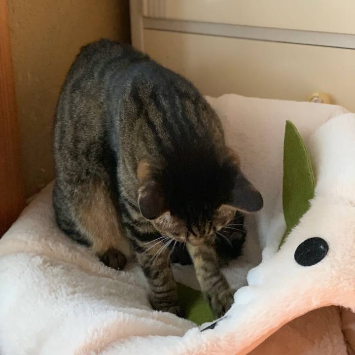 A7649d14 c658 414f 961a 8773e52ad26b 1540346491865