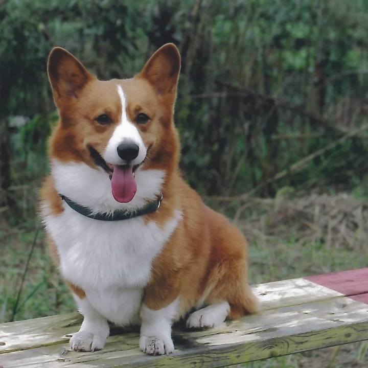 A764b650 3e9e 4503 b871 e366777474d0 1518799667877