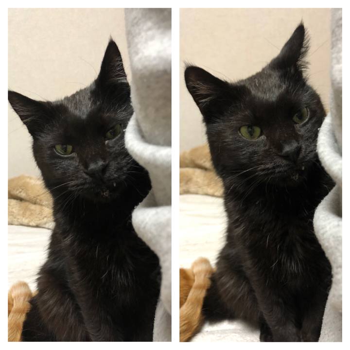 A764b814 3004 4229 98ff f78e7720b1d8 1621418763519