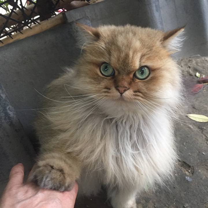 A764ba95 9952 4580 8722 b4e6086ed875 1558955884413