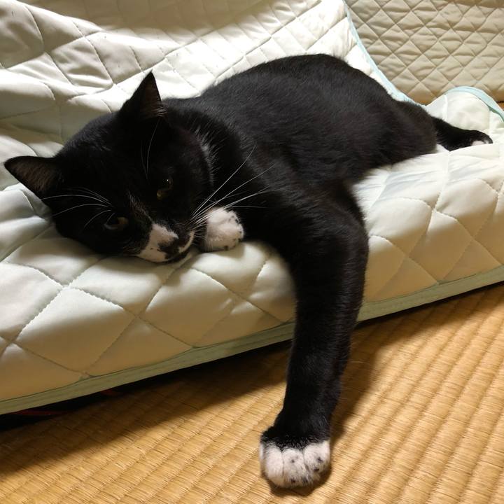 A764c641 a220 46ba 80b5 baa37d85e130 1568604899923