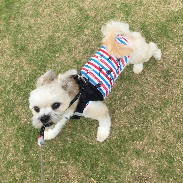 A764c91a 3680 4947 bc33 e02e7a01ad02 1527679868840