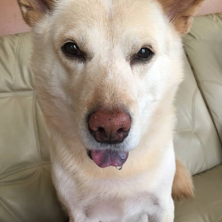 A764ce9f 1ee2 4ce4 a0d9 56411cd5956e 1522944487387