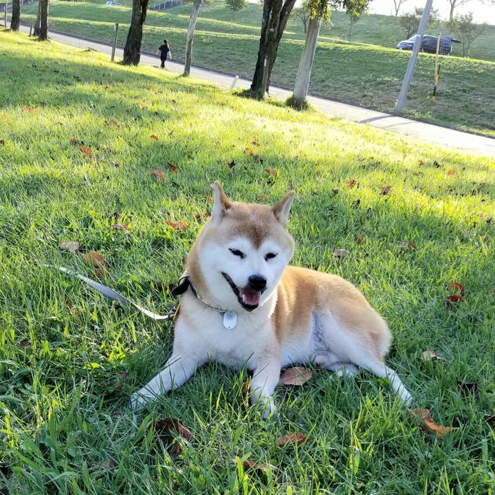 A764d5df 73eb 404a 8373 f10698bc144e 1632036487027