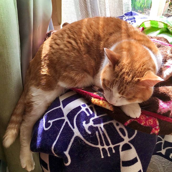 A76521f6 f087 4e44 bf7a 19e950779068 1617001491639