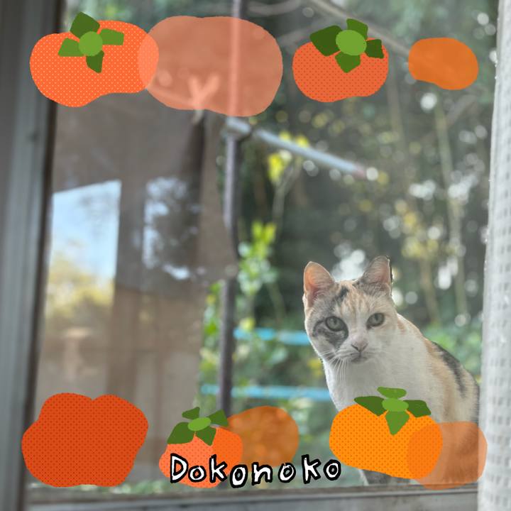 A7652249 c4f5 4fb8 ab93 de7d89ebaaae 1762565084751