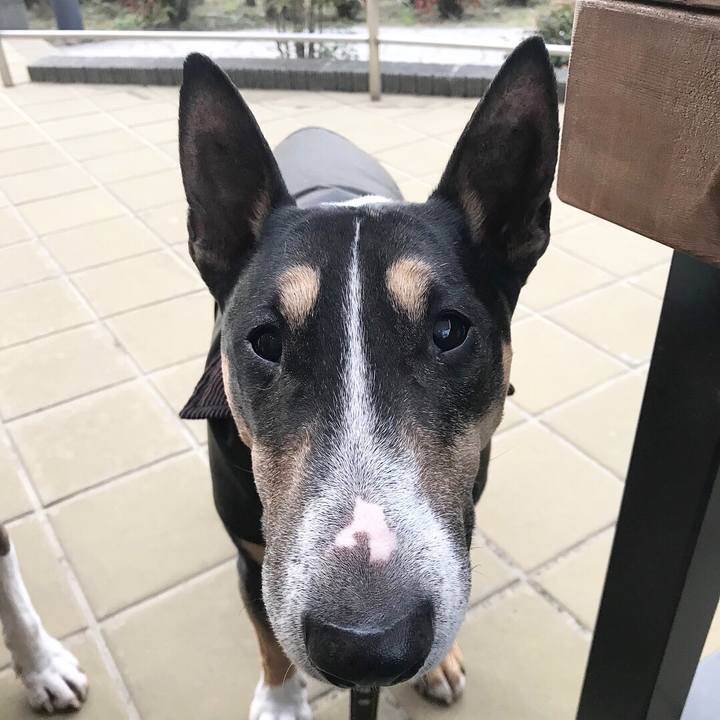 A7652802 6053 4756 8455 99bddb2bc7a4 1511682670652