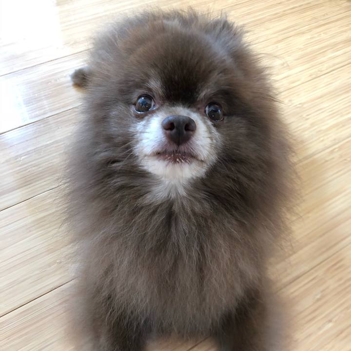 A765544f 9e9f 4912 8e8c a379fda3d2f7 1566357380175