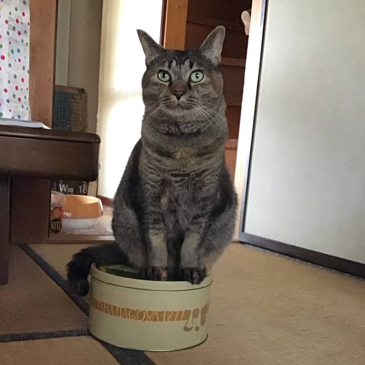 A76558f0 097c 41ce 8da9 587baca406ee 1758426302256