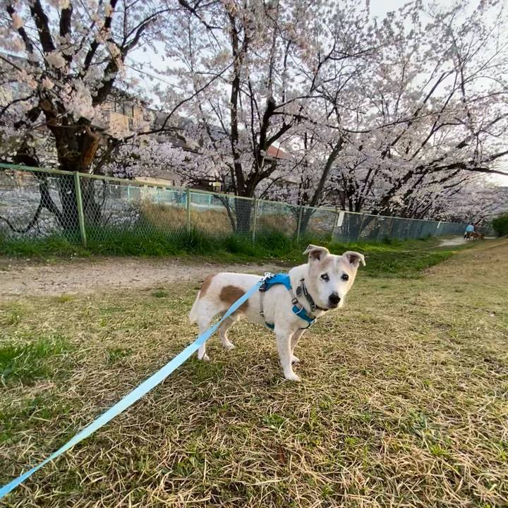 A7655d3b 634e 4535 aef6 0be28369f3c0 1712355249982