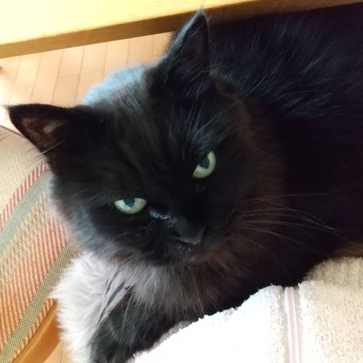 A765994d 8d4c 4bc4 bcb3 b6c4dbaa4001 1617402820830