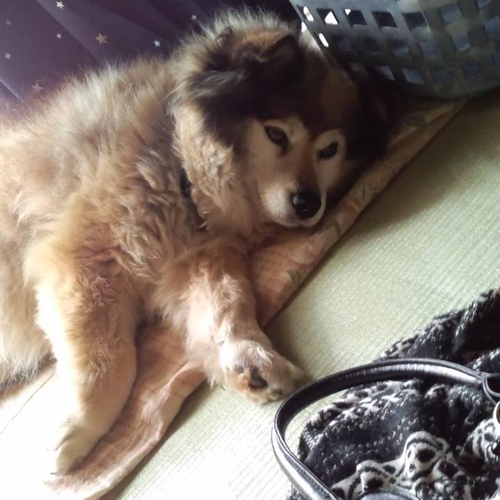 A765daa9 830f 40eb 98f6 09fc558ac803 1579335903215