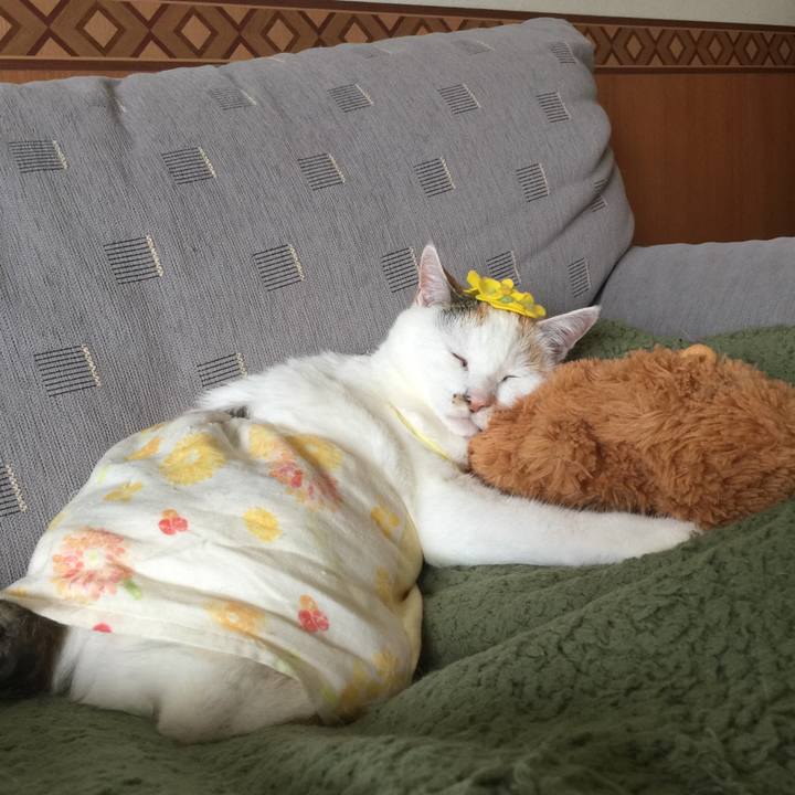 A765fe91 a9bf 4a27 b0b0 dbc52673bfd5 1520478635058