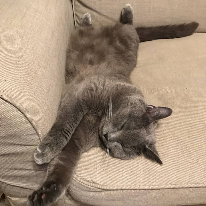 A7660f19 320e 42f2 8729 e4bb56dc3d0f 1525875826170