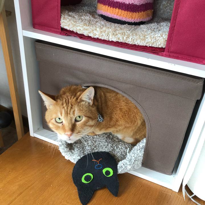 A766248b 46c2 402b a82f bc907c143abd 1588556151470