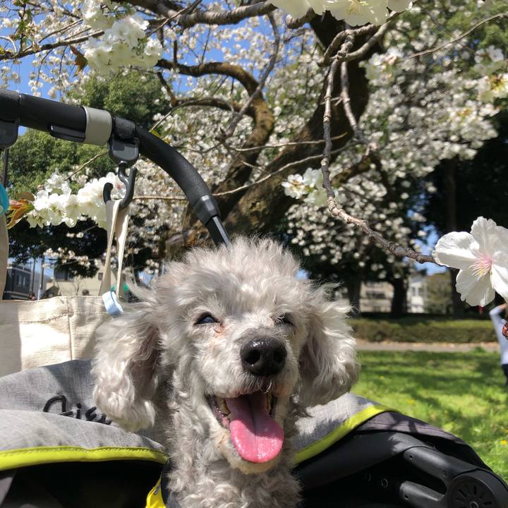 A7663da4 e48d 469a 9fc8 a578a45f18af 1649591682810