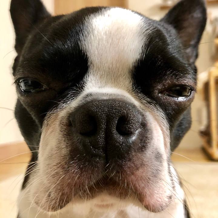 A7668268 c777 45c6 a708 9ae3fef6068f 1540377590445