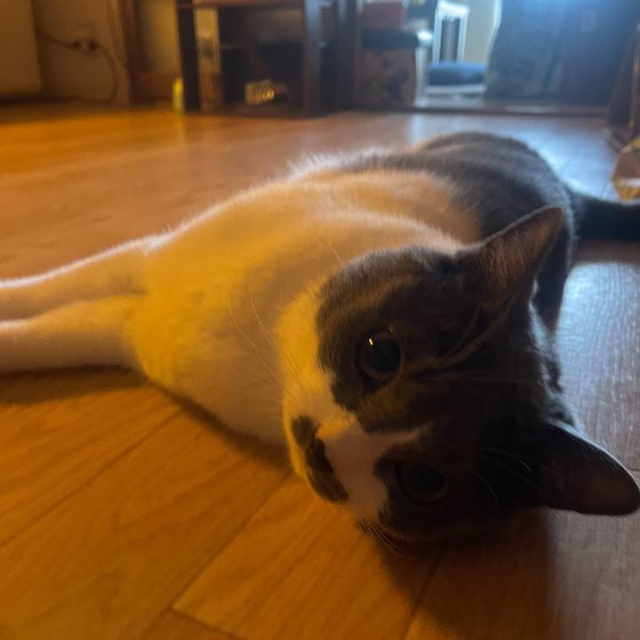 A766e2d8 962e 4fc8 a8af 62333c1b9fe0 1755302349409