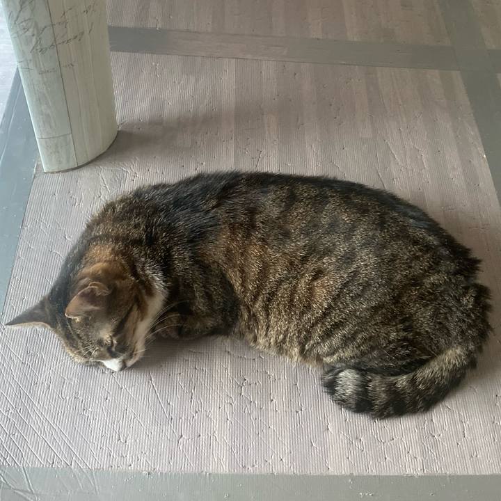 A766e34d 5460 47b5 af4a 0a99d4003b9d 1659734683650