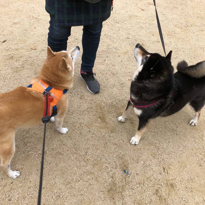 A766f998 8e12 4d6a 9f75 90f6ec1ea94b 1605266647178