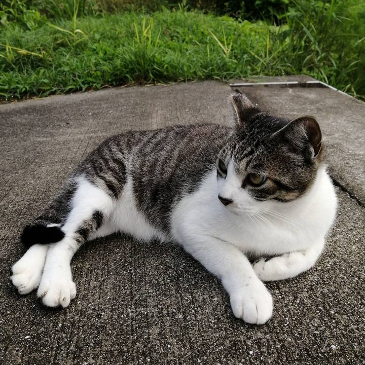 A7670e6f b464 46aa ab53 c509dfc3caaf 1624929251283